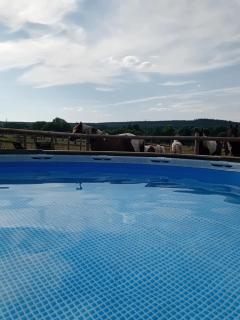 Gîte avec jacuzzi privatif et piscine privative - Haras Le Val Du Conte - 1