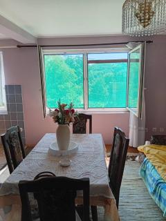 Ljiljana apartmani Banja Vrujci - 4