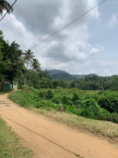 Emerald canopy retreat - 0