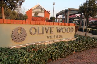 Olivewood village south - 9