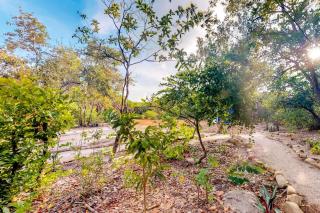 Three forest cabanas with verandas hammocks WiFi & partial AC - walk to beach - 1