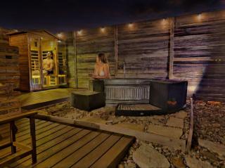Romantic Luxury Retreat hot cold pool & sauna - 7
