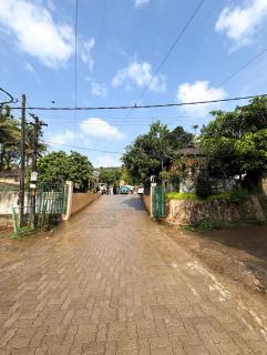 Rose homestay - 3