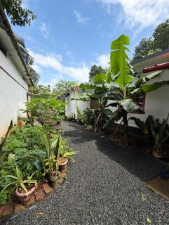 Rose homestay - 1