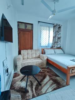New apartment lakeview bnb - 8
