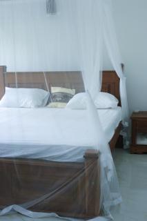 Nela House - 4