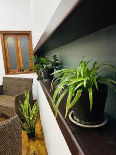 47 - Your Ultimate Relaxation in Colombo - 5