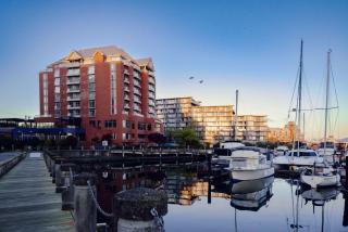Coast Victoria Hotel & Marina by APA - 9