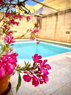 Farmhouse Gulinu with pool - 8