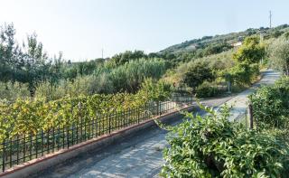 Fuga in Toscana - 9
