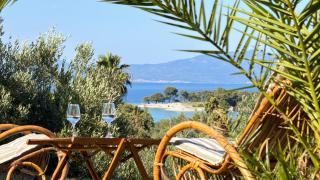 Alkinoos Majestic View villa 5100 m2 Private Estate - 8