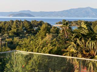 Alkinoos Majestic View villa 5100 m2 Private Estate - 0