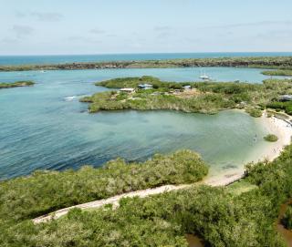 Mangrove Suite by Blue Heron Galapagos - 7