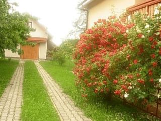 Agroturystyka u Jasienka - 5