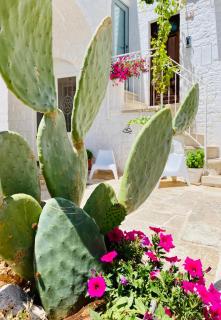 Trulli Arcolaia | Antico Fienile - 8