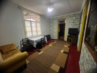 Borjomi Kvibisi Village Guset House - 6