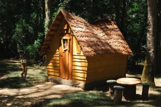 Cabane Mushroom - 2