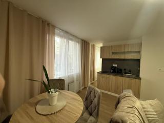 Cozy apartment near the stadium - 1