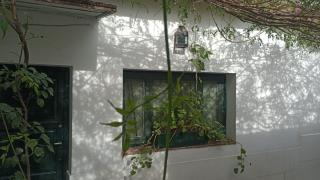 Bussola - 3