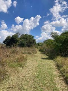 Wild Olive Eco Park - 8