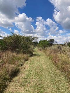 Wild Olive Eco Park - 1