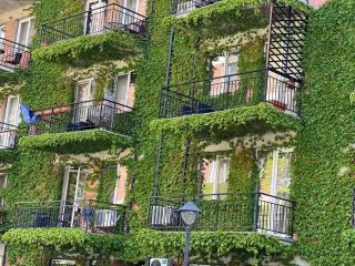 Cozy Apartment Jikia Green House-Central Tbilisi - 5
