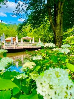 Les jardins extraordinaires - 9