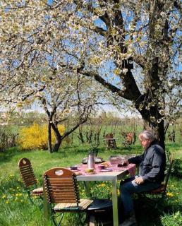 Appartement Kirschgarten Nähe Fränkisches Seenland - 7