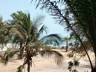 VILLA MANDJANI, Détente & Bien-être en Casamance - 5