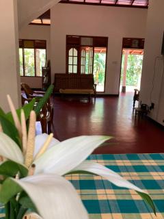 Sinharaja Homstay - 8