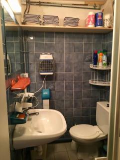 Appartement T2 avec mezzanine et véranda - 3