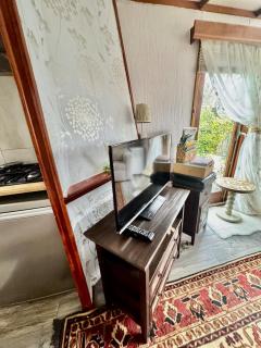 Chalet on the lake with private garden - 4