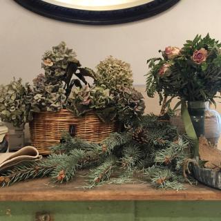 B&B La Magnolia - Ostiglia - 3