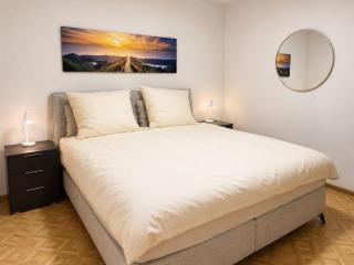 Central apartment near Rhine Bridge & Switzerland - 1