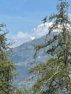 Mono19Bis - Monte Bianco View - 7
