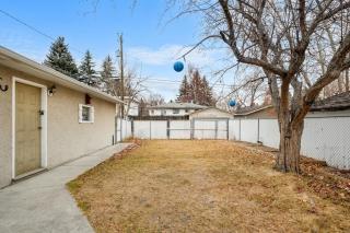 Bark & Bloom Bungalow Fenced Yard Pet Friendly - 9