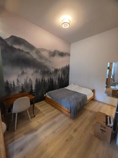 Wólczańska 53 - 3