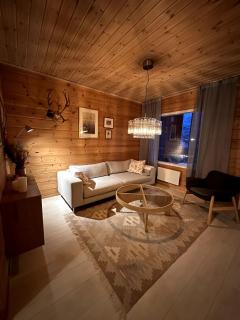 Nice Seaview cabin, between Tamok and Lyngen alps - 1