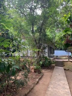 Emerald canopy retreat - 9