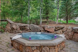 Excelsior Lodge - Avon - 9