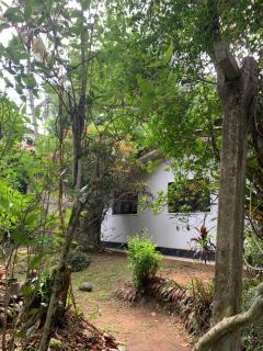 Emerald canopy retreat - 2