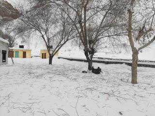 Middleland homestay kaza - 9