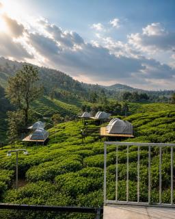 Skydeck - Boche 1000 Acre - 1