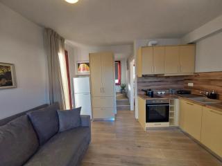 Apanema Homes in Chora - 6