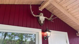 Campinghytte i skogen - en time fra Oslo - 8