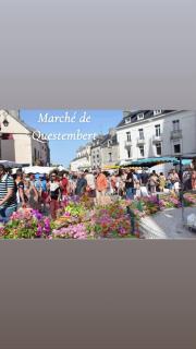 Charmante maison sud Morbihan - 1