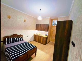 Historic Studio near Opera House, Mtatsminda - 4