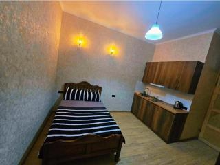 Historic Studio near Opera House, Mtatsminda - 3