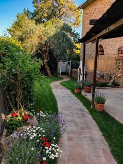 Castle Rooms - Morro d'Alba - La Vigna - 5