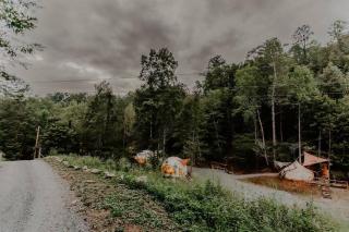 The Perch Glamping by Rafting - 6
